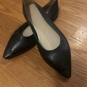 Everlane ballet flat